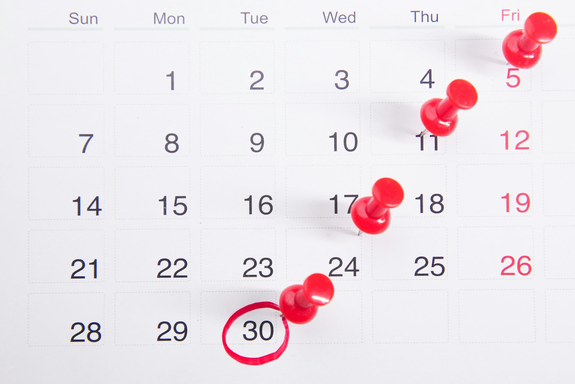 The St Andrews private rental calendar